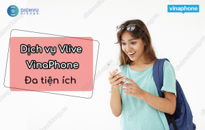 dich vu vlive vinaphone