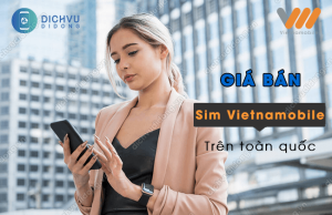 gia ban sim vietnamobile