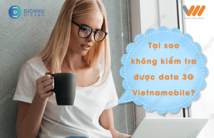 loi khong kiem tra duoc data 3g vietnamobile