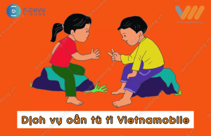 dang ky dich vu oan tu ti vietnamobile