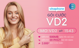 goi cuoc vd2 vinaphone