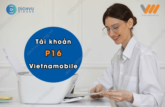 tai khoan p16 vietnamobile