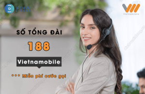 so tong dai vietnamobile 188