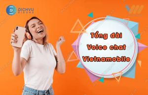 tong dai voice chat vietnamobile