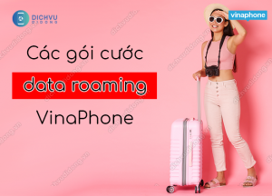 cac goi cuoc data roaming vinaphone