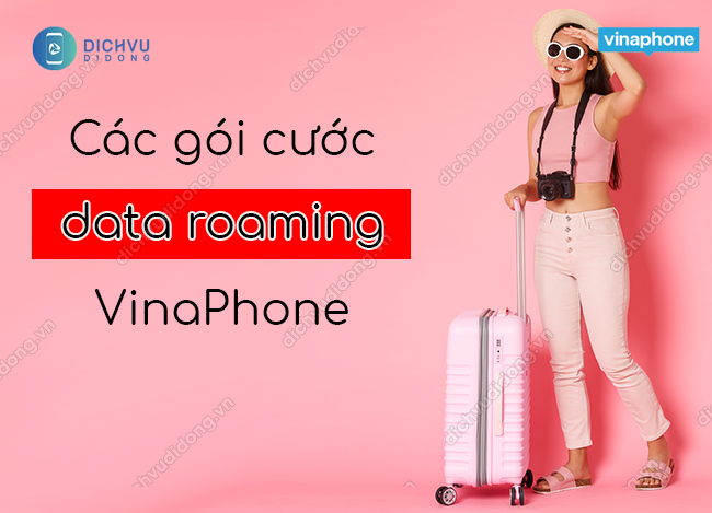 cac goi cuoc data roaming vinaphone