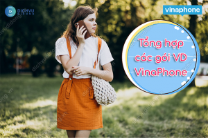 Các gói cước VD VinaPhone