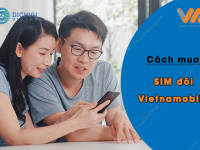 sim doi vietnamobile