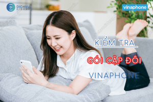 kiem tra goi cuoc cap doi vinaphone