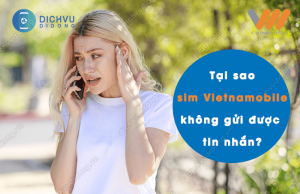 sim vietnamobile khong gui duoc tin nhan