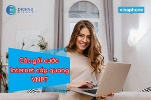 cac goi cuoc internet vnpt