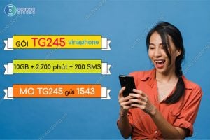 Đăng ký gói TG245 VinaPhone