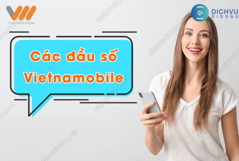 cac dau so vietnamobile
