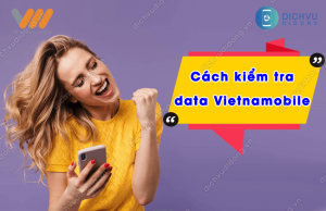 cach kiem tra data vietnamobile