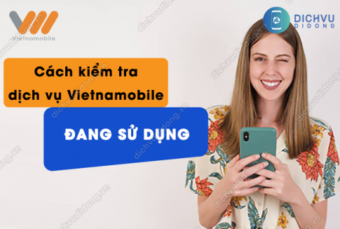 cach kiem tra cac dich vu vietnamobile dang su dung