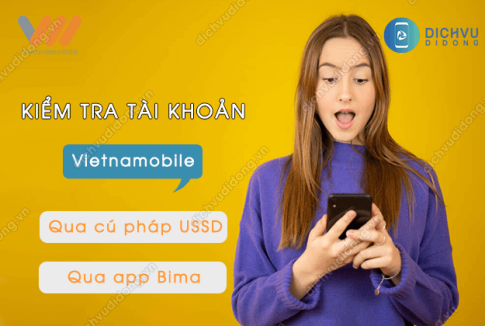 cach kiem tra tai khoan cua vietnamobile