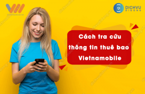 tra cuu thong tin thue bao vietnamobile