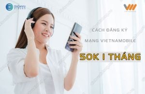 cach dang ky mang vietnamobile 50k 1 thang