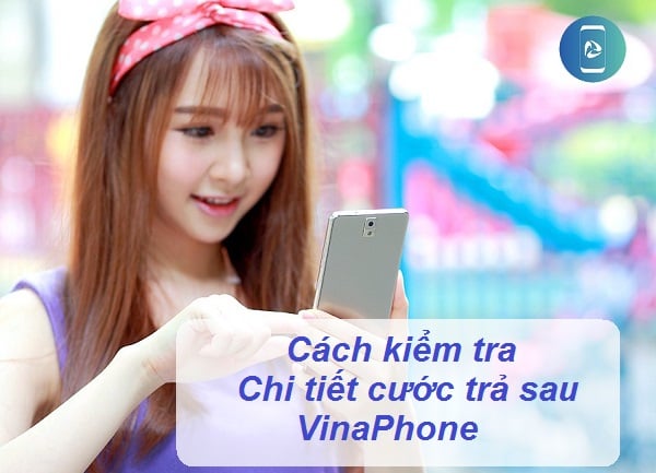 Cách kiểm tra chi tiết cước trả sau VinaPhone