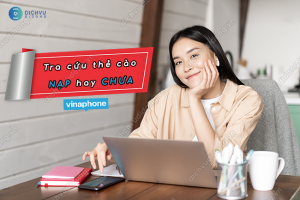 Hướng dẫn kiểm tra thẻ cào Vinaphone nạp hay chưa