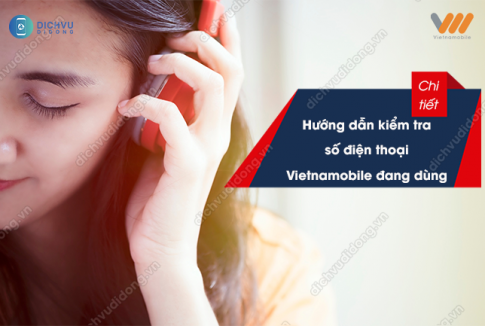 Cách tra cứu SĐT đang dùng của Vietnamobile