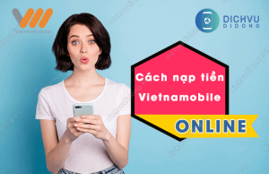 cach nap tien vietnamobile online