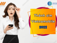 thanh sim vietnamobile