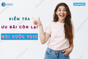 Tra cứu ưu đãi còn lại gói cước VD89