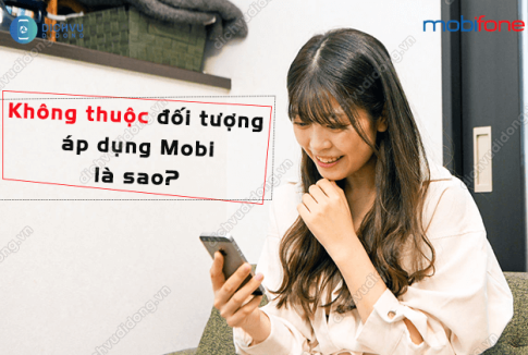 khong thuoc doi tuong ap dung mobi la sao?
