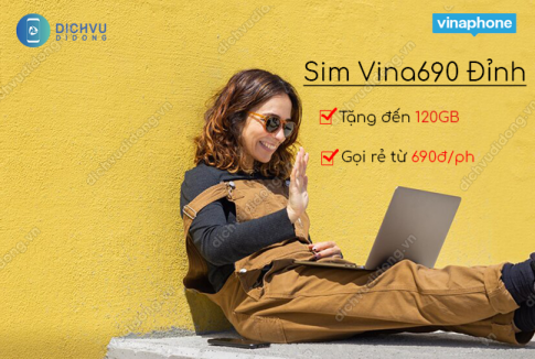 sim vina690 dinh vinaphone