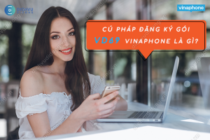 Gói cước VD69 Vinaphone