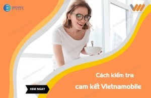 kiem tra cam ket vietnamobile