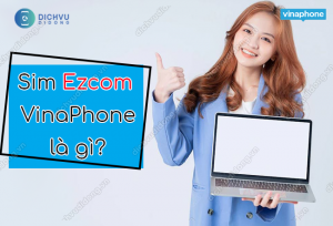 sim ezcom vinaphone la gi?