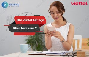 sim viettel het han