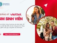 dang ky sim sinh vien viettel