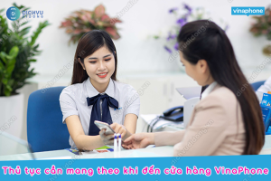 Những thủ tục trước khi đến cửa hàng Vina