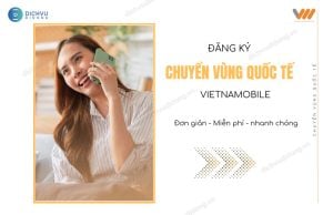 chuyen vung quoc te vietnamobile