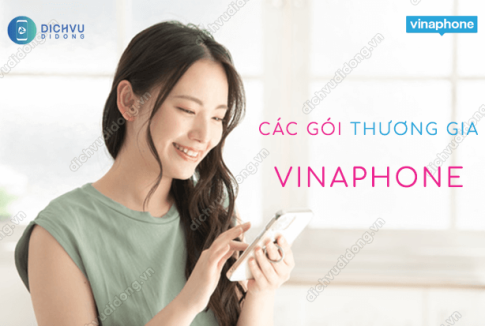 cac goi thuong gia vinaphone