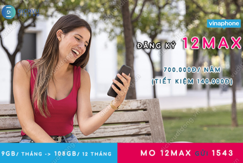 Gói cước 12max vinaphone