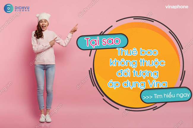 Tại sao thuê bao không thuộc đối tượng áp dụng Vina?