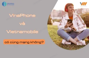 vinaphone va vietnamobile co cung mang khong?