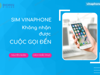 sim vina khong nhan duoc cuoc goi den