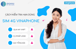 kiem tra han su dung sim vinaphone