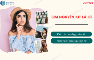 sim nguyen kit la gi