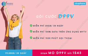 Gói D99V Vina