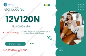 goi cuoc 12v120n viettel