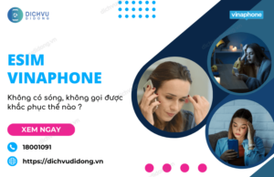 esim vinaphone khong goi duoc