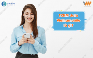 TKKM data Vietnamobile là gì