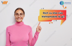 gói cước elsa của Vietnamobile là gì