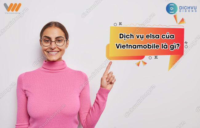 gói cước elsa của Vietnamobile là gì